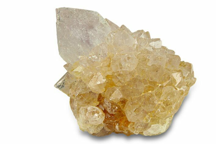 Sparkling Cactus Amethyst Crystal Cluster - South Africa #290238